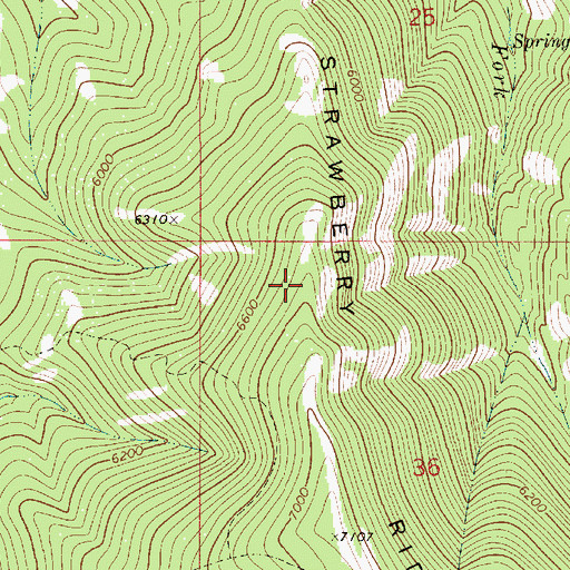 Topographic Map of Strawberry Ridge, MT