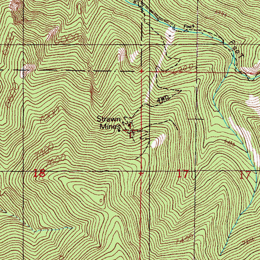 Topographic Map of Strawn Mines, MT