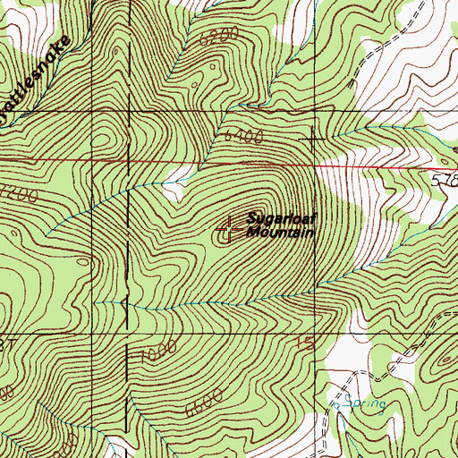 Topographic Map of Sugar Loaf Mountain, MT