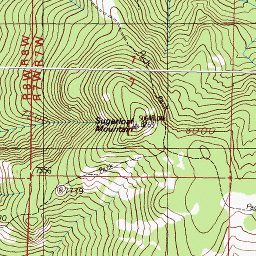 Topographic Map of Sugarloaf Mountain, MT