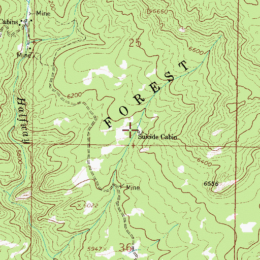 Topographic Map of Suicide Cabin, MT