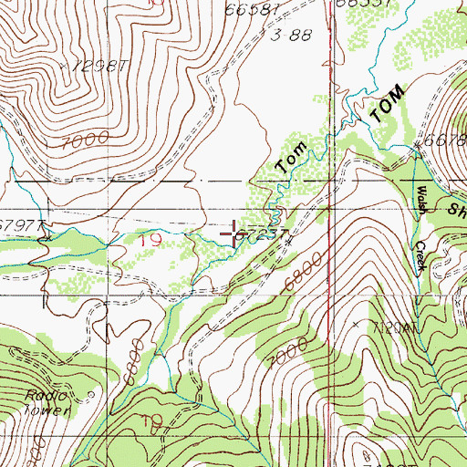 Topographic Map of Sunlight Creek, MT