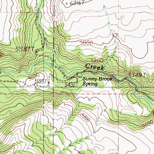 Topographic Map of Sunny Brook Spring, MT