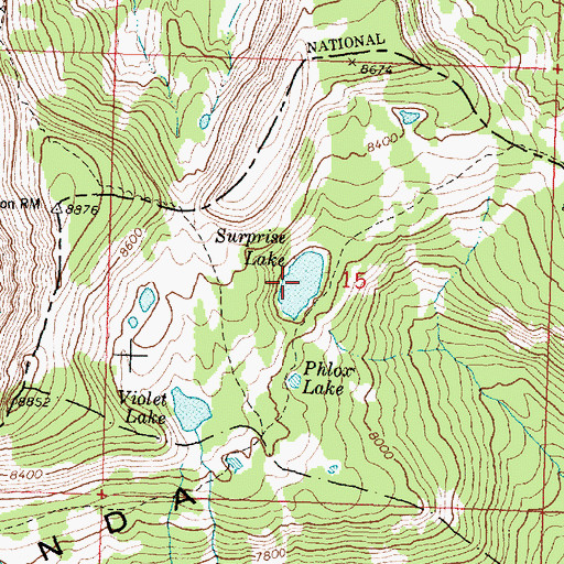 Topographic Map of Surprise Lake, MT