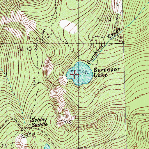 Topographic Map of Surveyor Lake, MT