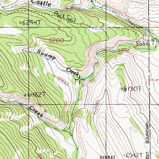 Topographic Map of Swamp Creek, MT