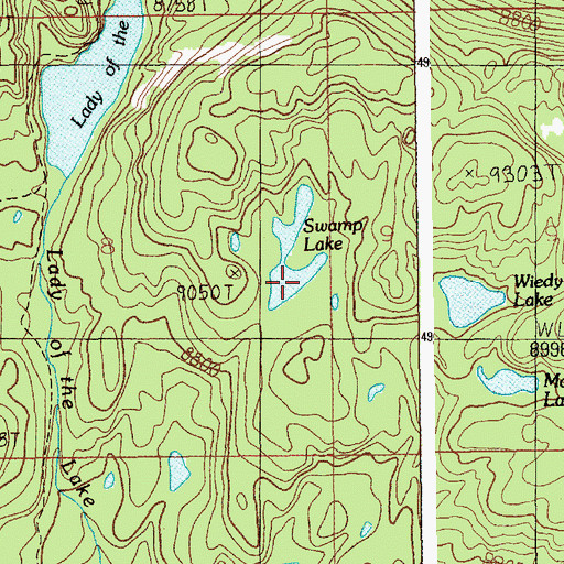 Topographic Map of Swamp Lake, MT