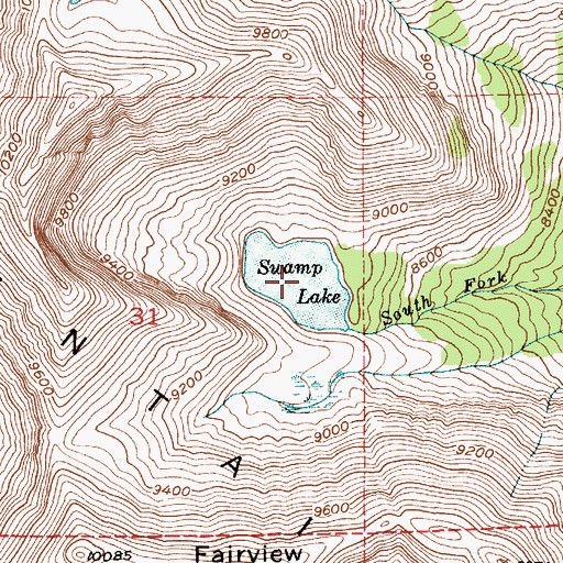 Topographic Map of Swamp Lake, MT
