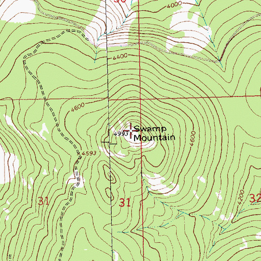 Topographic Map of Swamp Mountain, MT