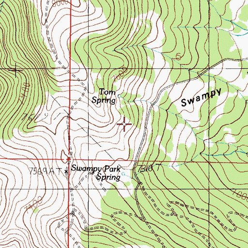 Topographic Map of Swampy Park, MT