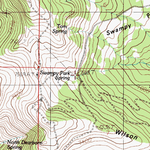 Topographic Map of Swampy Park Spring, MT