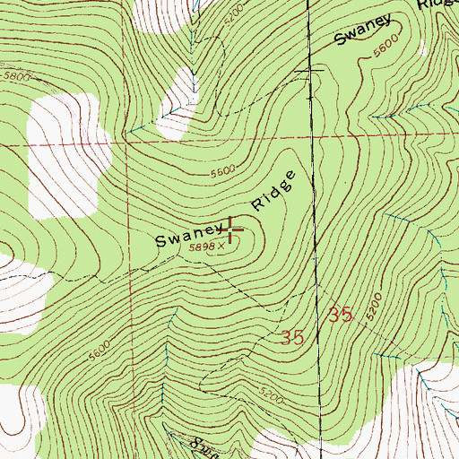 Topographic Map of Swaney Ridge, MT