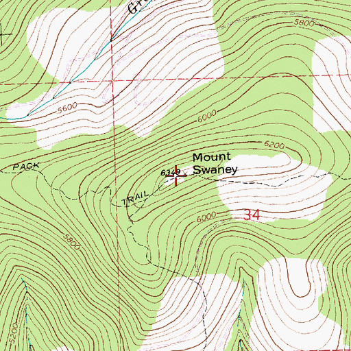 Topographic Map of Mount Swaney, MT