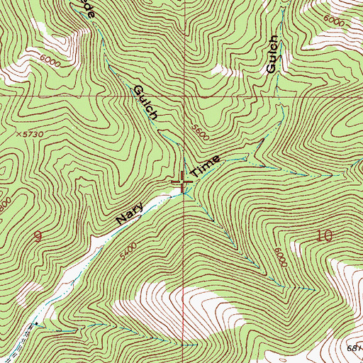 Topographic Map of Swede Gulch, MT