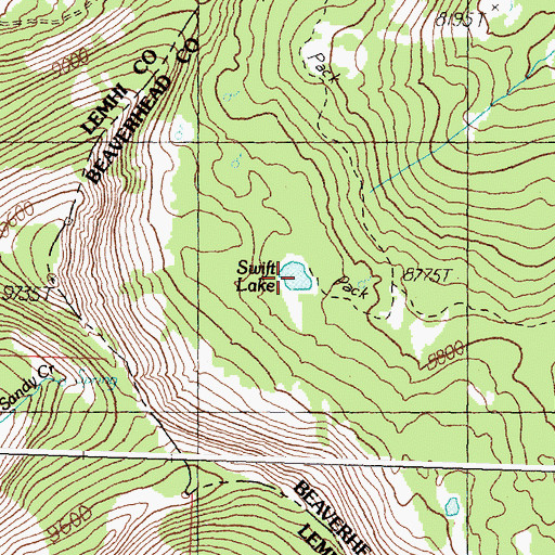 Topographic Map of Swift Lake, MT