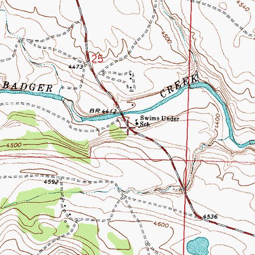 Topographic Map of Swims Under School (historical), MT
