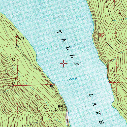 Topographic Map of Tally Lake, MT