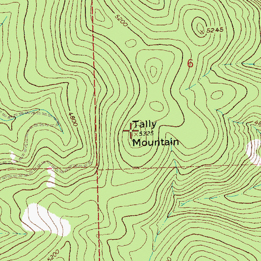 Topographic Map of Tally Mountain, MT