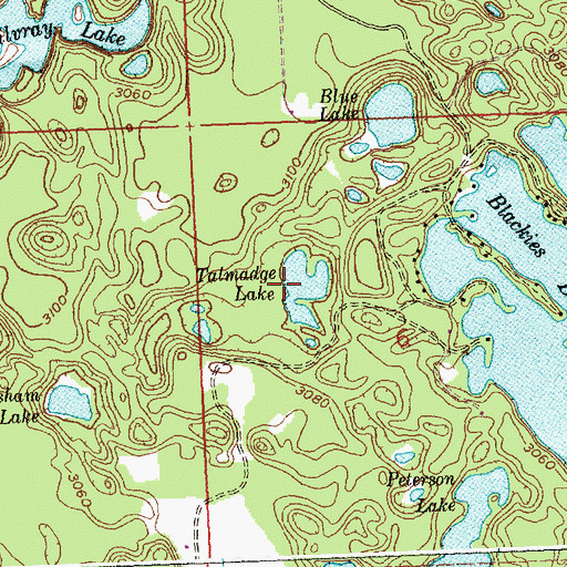 Topographic Map of Talmadge Lake, MT