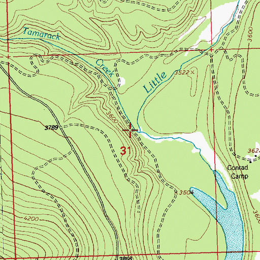 Topographic Map of Tamarack Creek, MT