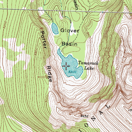 Topographic Map of Tamarack Lake, MT