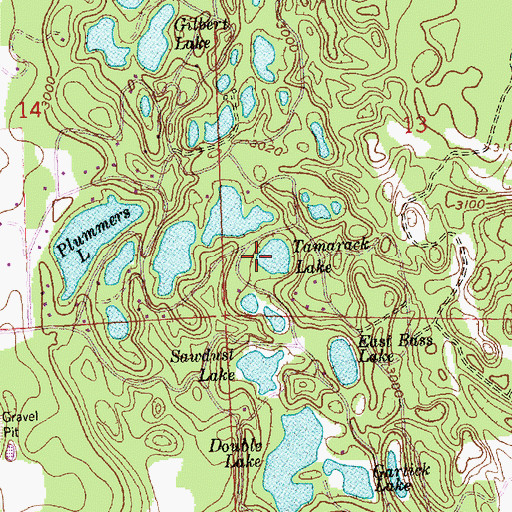 Topographic Map of Tamarack Lake, MT