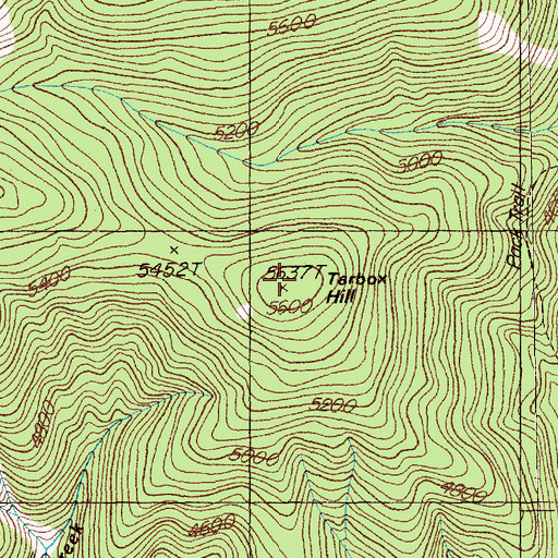 Topographic Map of Tarbox Hill, MT