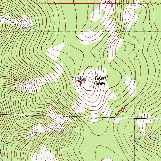 Topographic Map of Tash Peak, MT