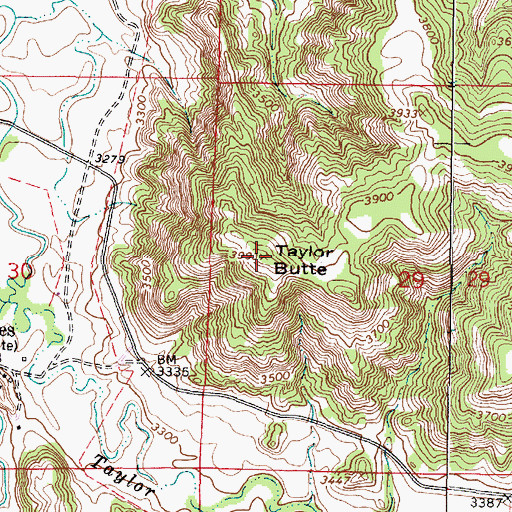Topographic Map of Taylor Butte, MT