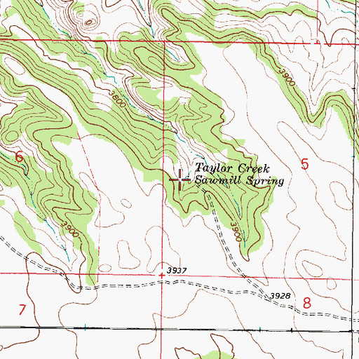 Topographic Map of Taylor Creek Sawmill Spring, MT