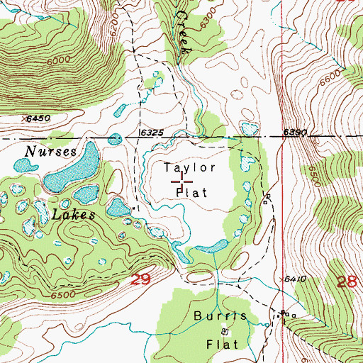 Topographic Map of Taylor Flat, MT