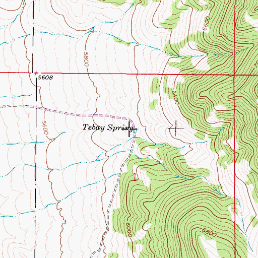 Topographic Map of Tebay Spring, MT