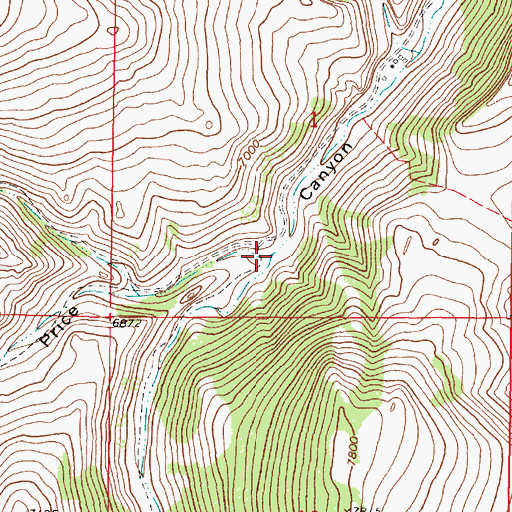 Topographic Map of Teddy Creek, MT