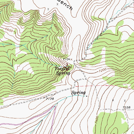 Topographic Map of Teeples Spring, MT