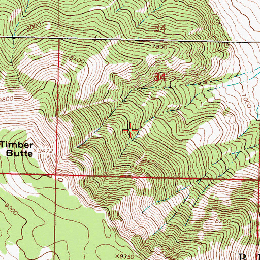 Topographic Map of Tendoy Mountains, MT
