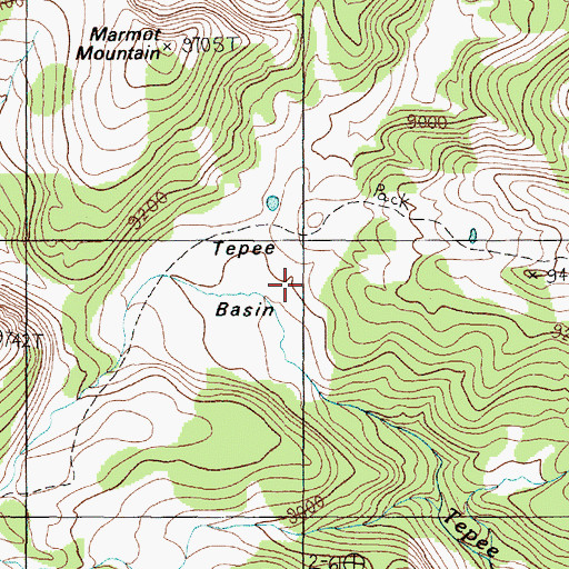 Topographic Map of Tepee Basin, MT