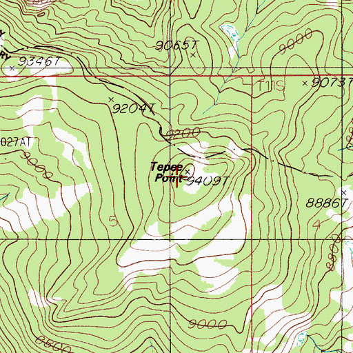 Topographic Map of Tepee Point, MT