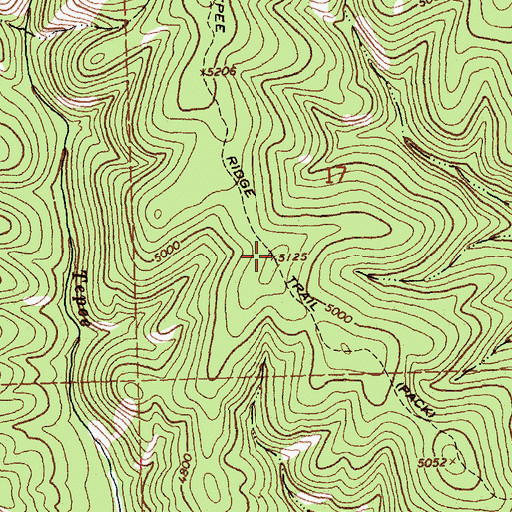 Topographic Map of Tepee Ridge Trail, MT