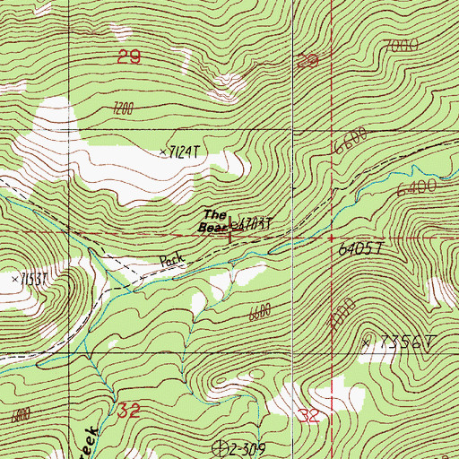 Topographic Map of The Bear, MT