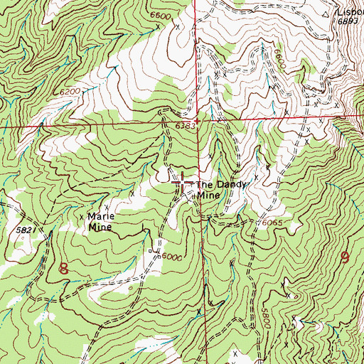 Topographic Map of The Dandy Mine, MT