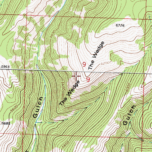 Topographic Map of The Wedge, MT