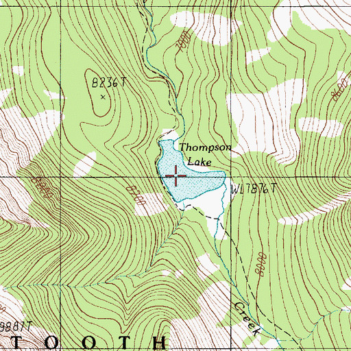 Topographic Map of Thompson Lake, MT