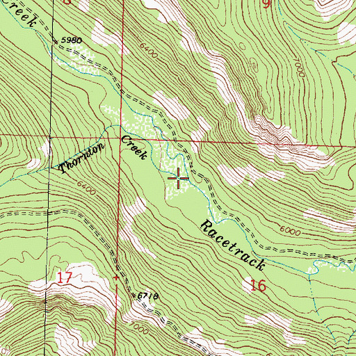 Topographic Map of Thornton Creek, MT