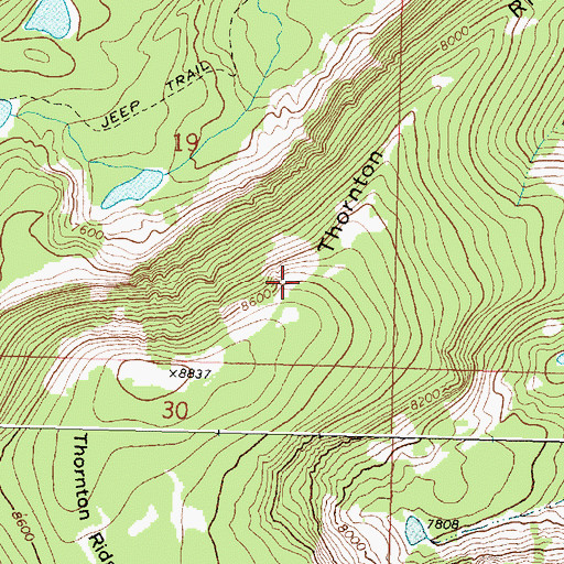 Topographic Map of Thornton Ridge, MT