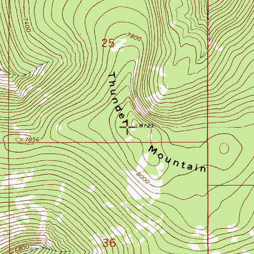Topographic Map of Thunder Mountain, MT