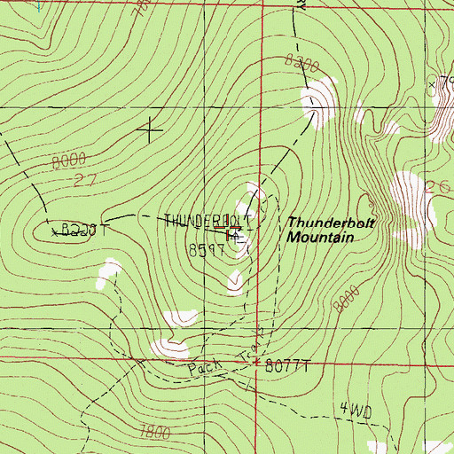Topographic Map of Thunderbolt Mountain, MT
