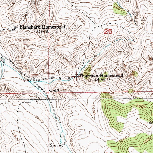 Topographic Map of Thurman Homestead, MT