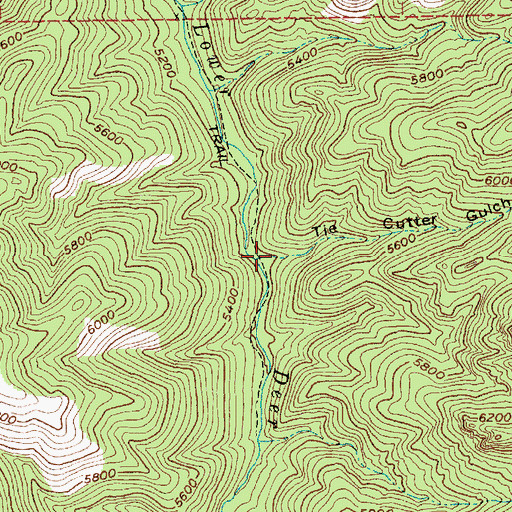Topographic Map of Tie Cutter Gulch, MT