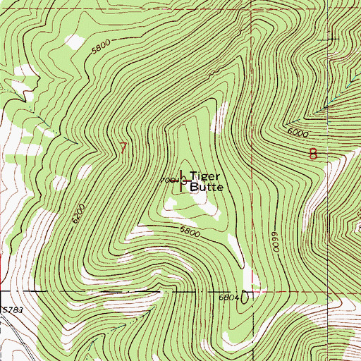 Topographic Map of Tiger Butte, MT