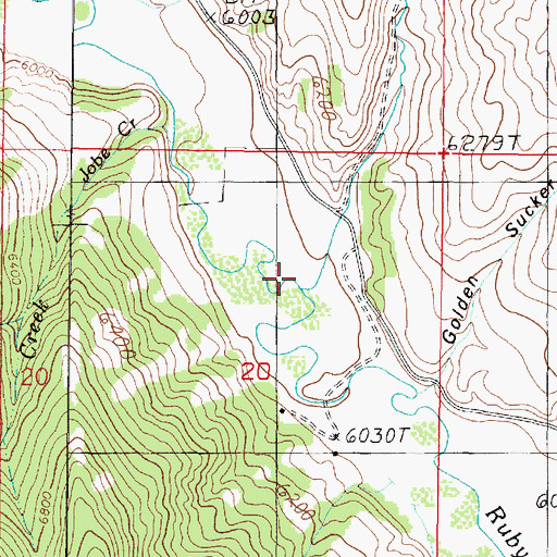 Topographic Map of Timber Creek, MT